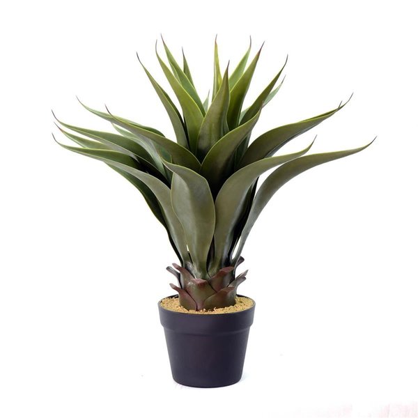 Dare2Decor 22 in. Green Potted Aloe Vera Pot DA2676108